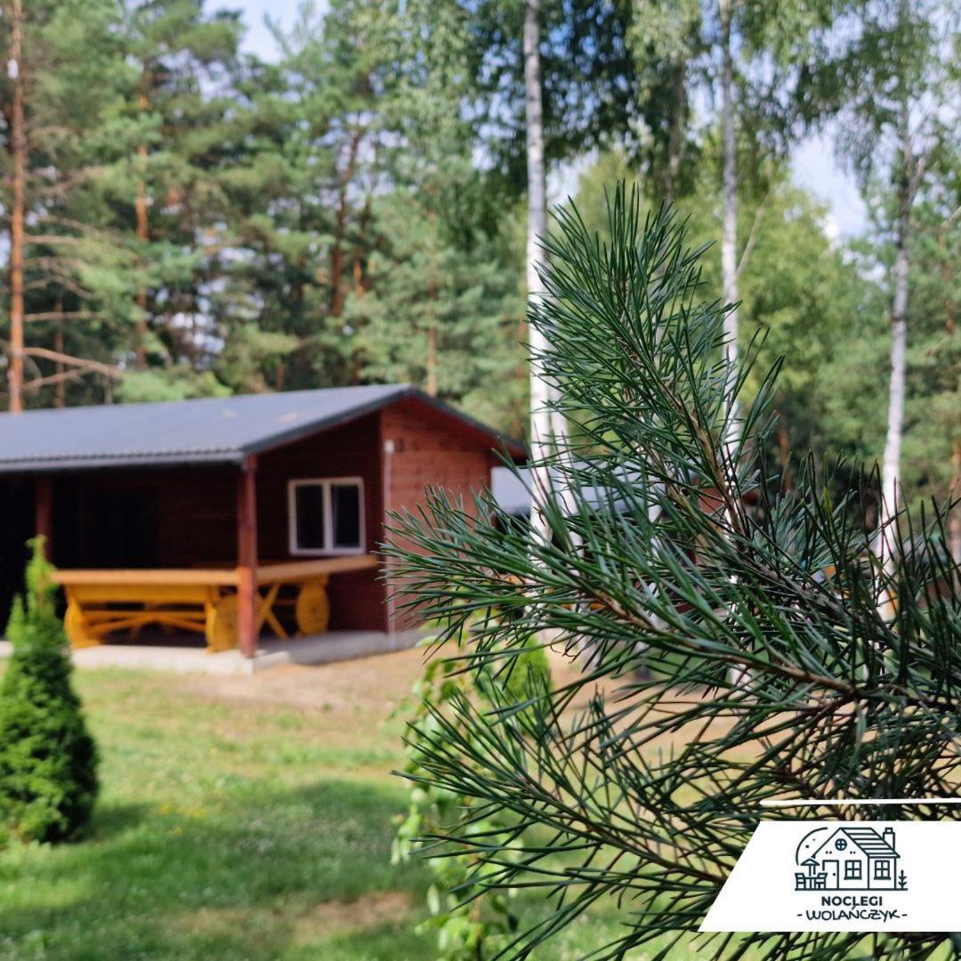 Domki Wrzosowe Wzgorza Nr2 Horyniec Экстерьер фото